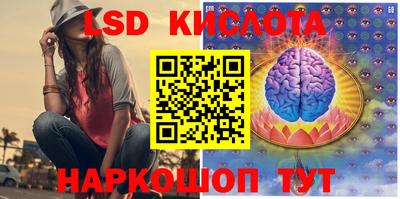 амф Кулебаки