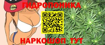 гашиш Краснознаменск