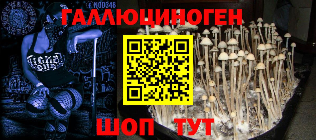 Псилоцибиновые грибы ЛСД Электросталь