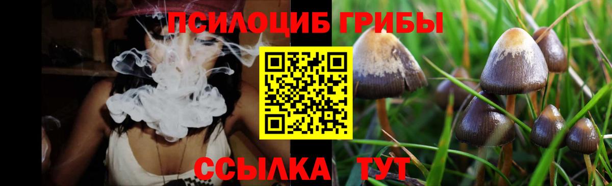 Электросталь  Псилоцибиновые грибы Psilocybe  Вход с VPN 